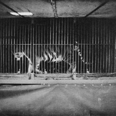 Secret circus